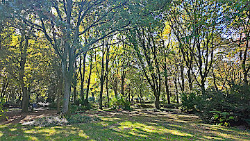 An der Bendstege