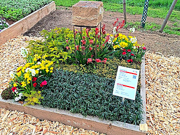 Landesgartenschau Neuss 2026