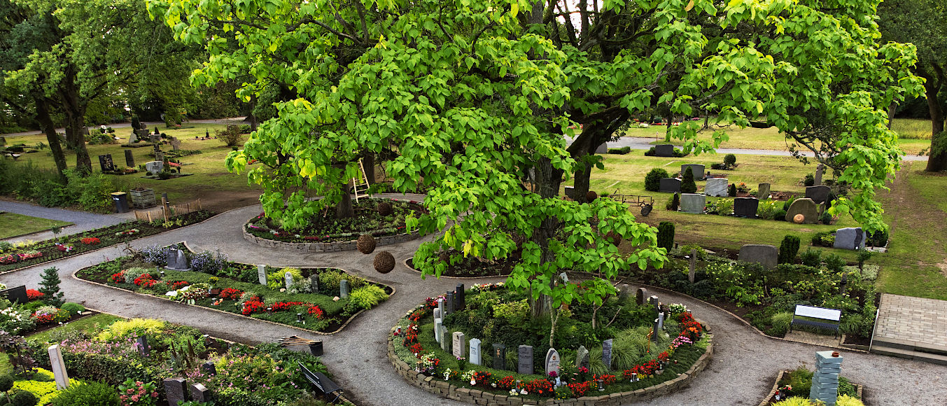 Friedhofsgärtnerei Fritz Petzchen - Bereichsbild Memoriam-Garten